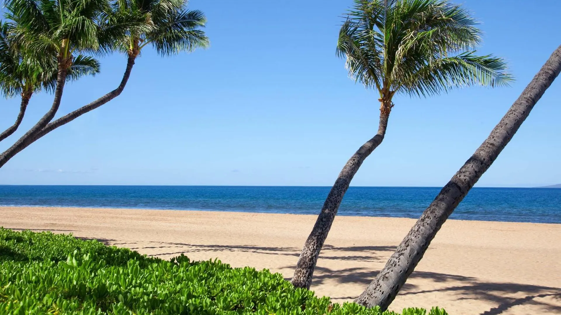 Marriott'S Maui Ocean Club - Lahaina & Napili Towers Hotel