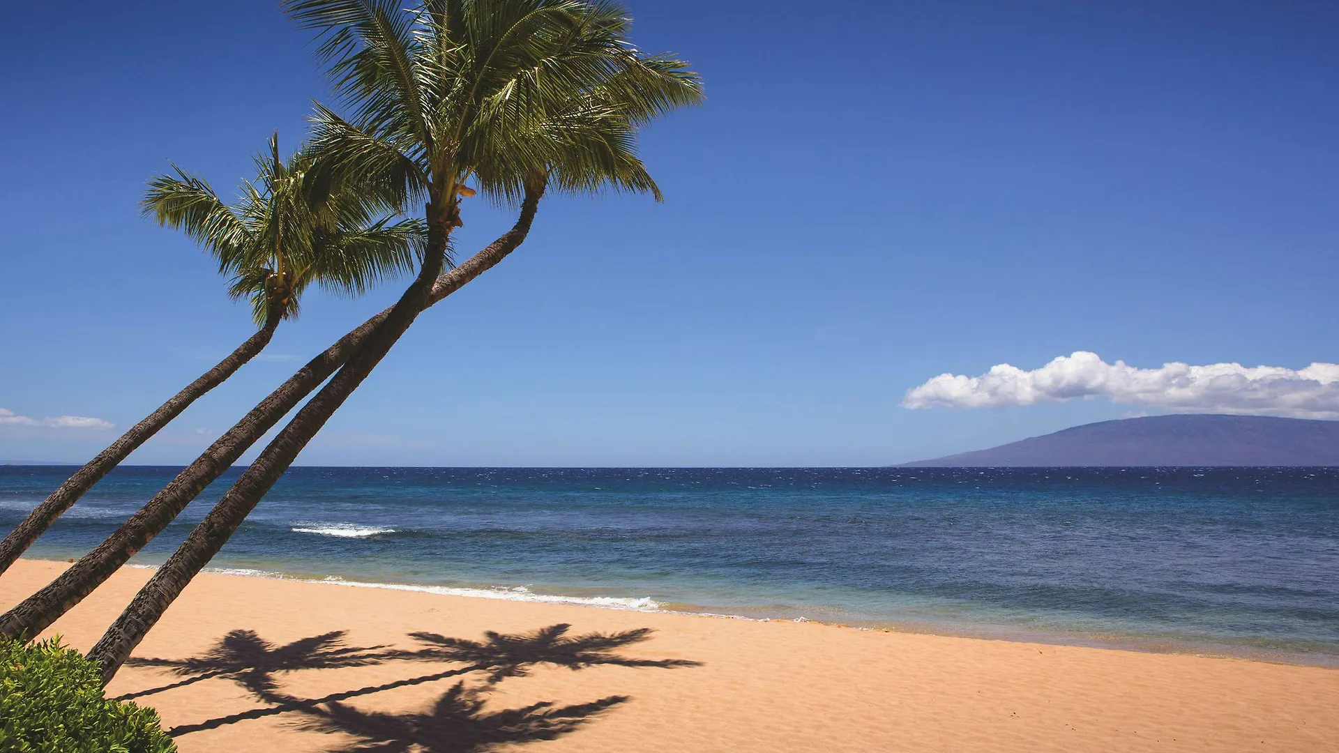 Marriott'S Maui Ocean Club - Lahaina & Napili Towers 4*,  United States